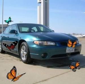 Meet your Posher, Barb